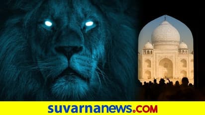 ಈ ಫೋಟೋ ಮನೆಯಲ್ಲಿಟ್ಟರೆ ಕೆಡುಕು ಖಚಿತ, ನಿಮ್ಮ ಮನೆಯಲಿದ್ಯಾ?