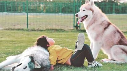 একাকিত্ব কাটাতে ঘরে আনুন একটি পোষ্য, যা ভালো রাখবে আপনার মন