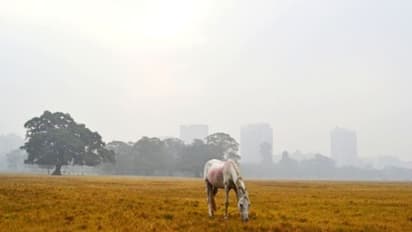 Kolkata Maidan