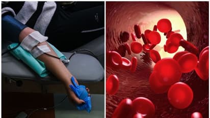 ಸೋಂಕಿತರ ಚಿಕಿತ್ಸೆಗೆ ನೆರವಾಗಲು ವೆಬ್‌ಸೈಟ್ ಆರಂಭಿಸಿದ ಡಾಟಾ ಕನ್ಸಲ್ಟೆಂಟ್!