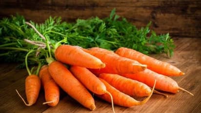 Recipe of Carrot Puree: পিউরি শিশুদের জন্য খুবই উপকারী, জেনে নিন রেসিপি