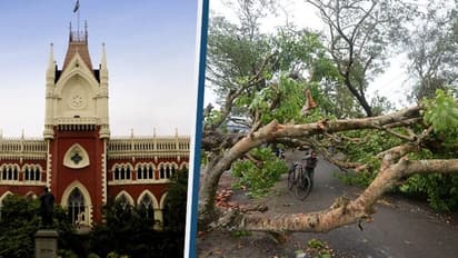 আমপান দুর্নীতি মামলায় চাপে রাজ্য, অডিটের দায়িত্ব কেন্দ্রীয় সংস্থা CAG-কে দিল হাইকোর্ট