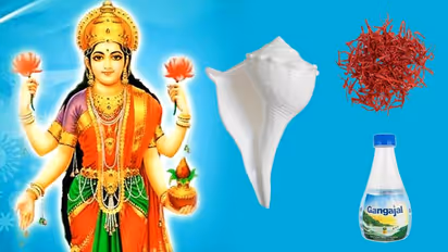 ಲಕ್ಷ್ಮಿಯನ್ನು ಓಲೈಸಿಕೊಳ್ಳಲು ಶುಕ್ರವಾರ ಹೀಗ್ ಪೂಜೆ ಮಾಡಿರಿ