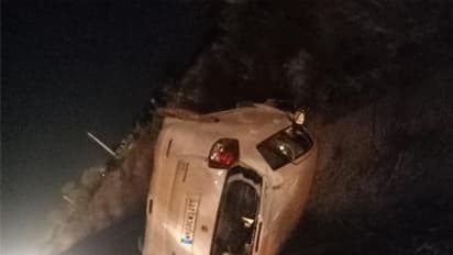 सड़क पर मरी पड़ी थी 2 भैंस,3 मिनट में टकराई 4 गाड़ियां,मां-बेटी सहित 3 की मौत