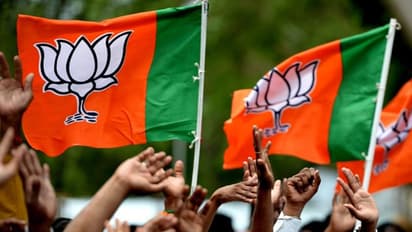 Haryana Municipal Election 2022 Results: BJP, Independents win big