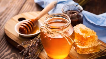 মধুর নামে চিনির সিরাপ খাচ্ছেন না তো, জেনে নিন কিভাবে চিনবেন খাঁটি মধু
