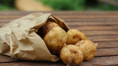 क्या 2 ही दिन में आलुओं से निकल जाता है अंकुर? इस तरह रखेंगे तो नहीं बर्बाद होगा एक भी आलू