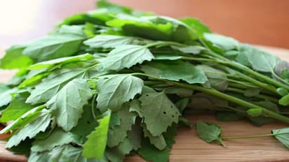 ಶ್ರಾವಣ ಮಾಸದಲ್ಲಿ ಈ ವಸ್ತು ತಿಂದರೆ ಲಾಭದ ಬದಲು ಬರೀ ನಷ್ಟ