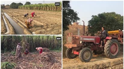 പുരുഷന്മാര് കര്ഷക സമരത്തില് വയലുകളുടെ നിയന്ത്രണമേറ്റെടുത്ത് സ്ത്രീകള്