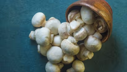 ಈ ಆಹಾರ ತಿನ್ನೋ ಮೊದಲು ಜೋಕೆ, ಇಲ್ಲವಾದರೆ ಪ್ರಾಣಕ್ಕೆ ಸಂಚಕಾರ