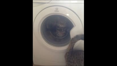 ವಾಷಿಂಗ್‌ ಮಷಿನ್ ಒಳಗೆ ಸಿಕ್ಕಾಕ್ಕೊಂಡ ಗರ್ಲ್‌ಫ್ರೆಂಡ್..!
