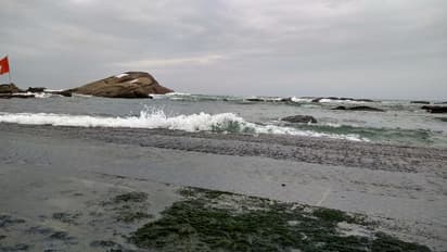 ബുറേവിയിൽ തമിഴ്നാട്ടിൽ 19 മരണം; കേരളത്തിൽ ജാഗ്രത തുടരുന്നു