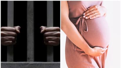 ജയിലില് നിന്നും 'പുരുഷ ബീജം' കള്ളക്കടത്ത് നടത്തുന്നു; ഇസ്രയേലിനെ ഞെട്ടിച്ച സംഭവം ഇങ്ങനെ