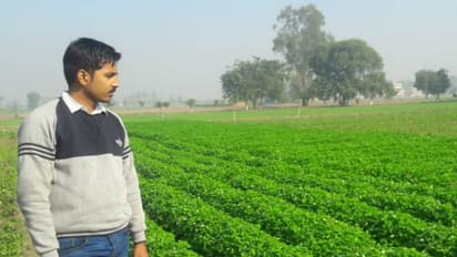 Quitting high-paying job, Brajesh took up farming; now has Rs 5 crore turnover annually