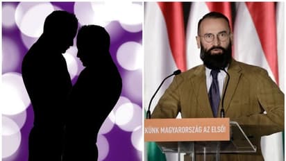 നിലപാട് എല്ജിബിറ്റിക്കെതിരെ; ഗേ സെക്സ് പാര്ട്ടിയില് നിന്ന് പിടിയില്; പാര്ലമെന്റ് അംഗം രാജിവച്ചു