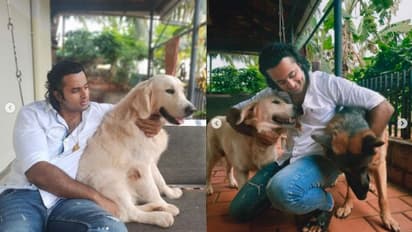 ‘എന്റെ ആൺകുട്ടികൾ’; ഷൂട്ടിംഗ് കഴിഞ്ഞ് വീട്ടിലെത്തിയ ഉണ്ണി മുകുന്ദനെ കാത്തിരുന്ന പ്രിയപ്പെട്ടവർ; വീഡിയോ