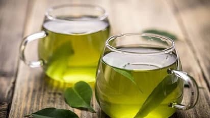 Belly Fat : ഗ്രീന്‍ ടീ കഴിക്കുന്നത് വയര്‍ കുറയ്ക്കാന്‍ സഹായിക്കുമോ?