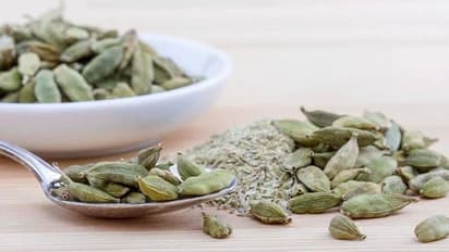 Cardamom Tea Benefits: Can it reduce acidity and improve digestion? Read THIS to know 
