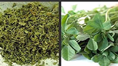 ಕಸೂರಿ ಮೇಥಿಯನ್ನು ನಿಯಮಿತವಾಗಿ ಸೇವಿಸಿ ಆರೋಗ್ಯವಂತರಾಗಿ!