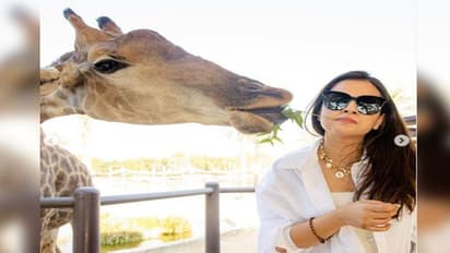 ಕಾಡುಪ್ರಾಣಿಗಳೊಂದಿಗೆ ಸೆಲ್ಫೀ ತೆಗೆದುಕೊಂಡ್ರೆ 7 ವರ್ಷ ಜೈಲಾಗ್ಬಹುದು, ಹುಷಾರ್!