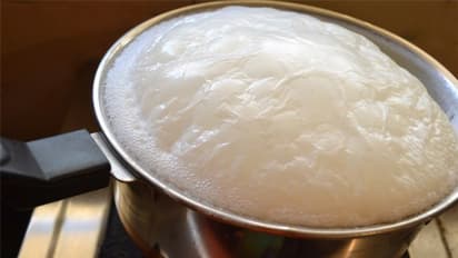 அதிக தீயில் வைத்து பாலை கொதிக்க வைக்கிங்களா? இனி இந்த தப்ப செய்யாதீங்க..!!