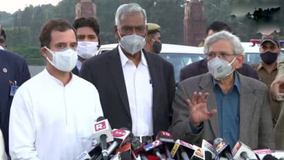 কৃষকরা রাস্তায় কেন, রাষ্ট্রপতির সঙ্গে দেখা করে প্রশ্ন রাহুল গান্ধীর