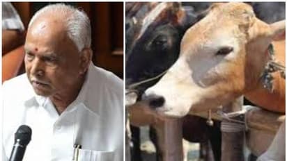 ഗവർണർ ഒപ്പു വച്ചു; കന്നുകാലി കശാപ്പ് നിരോധന നിയമം കർണാടകത്തിൽ നിലവിൽ വന്നു