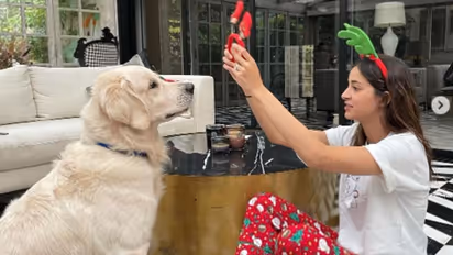 Ananya Panday is all set for Christmas; says its her favourite time of the year