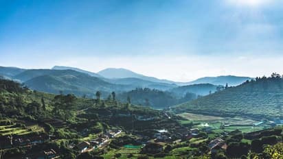 മസനഗുഡി വഴി ഊട്ടിയിലേക്ക് ഇപ്പോ പോകേണ്ട; കൊടും തണുപ്പ്, താപനില പൂജ്യം ഡിഗ്രിക്കടുത്ത്, കടുത്ത ആശങ്ക