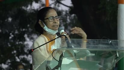 Trinamool Congress releases 10-year report card