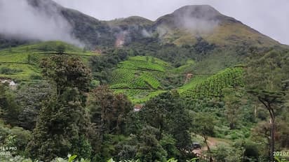 നീറുന്ന ഓര്‍മ്മയില്‍ പെട്ടിമുടി