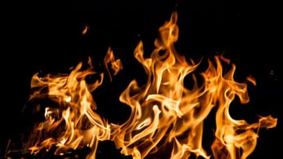 चाणक्य नीति: इन 6 के अधिक निकट नहीं जाना चाहिए, नहीं तो जान जाने का खतरा रहता है