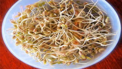 ಮೊಳಕೆ ಕಾಳುಗಳು ಪೋಷಕಾಂಶಗಳ ಆಗರ..  ಸೇವಿಸಿ ಅರೋಗ್ಯ ಹೆಚ್ಚಿಸಿ