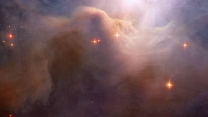 నెల్లూరు కెమికల్ ఫ్యాక్టరీలో గ్యాస్ లీక్: ముగ్గురు మృతి, పలువురికి అస్వస్థత