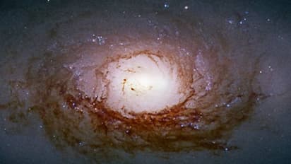 ಬ್ಲ್ಯಾಕ್‌ ಹೋಲ್ ನುಂಗಿದ ವಸ್ತು ಏನಾಗುತ್ತದೆ? ಜಪಾನ್ ಭೌತಶಾಸ್ತ್ರಜ್ಞರ ಅಧ್ಯಯನದಲ್ಲಿದೆ ಉತ್ತರ