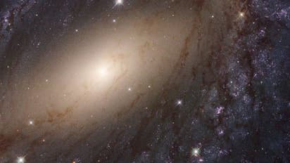 'അന്യഗ്രഹ ജീവികള് അയച്ചതാണോ ആ സിഗ്നലുകള്'; ഗവേഷകര് നല്കുന്ന ഉത്തരം ഇങ്ങനെ