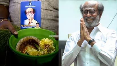 108 പശുക്കള്ക്ക് ഗോപൂജയും മൃത്യുഞ്ജയ ഹോമവും; രജനിയുടെ 70-ാം പിറന്നാള് ആരാധകര് ആഘോഷിക്കുന്നത് ഇങ്ങനെ