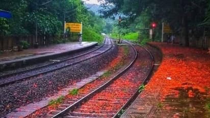 ഗുൽമോഹറിന്റെ മനോഹര കാഴ്ച, ആവണീശ്വരം സ്റ്റേഷന്റെ സുന്ദര ദൃശ്യം പങ്കുവച്ച് റെയിൽവേ