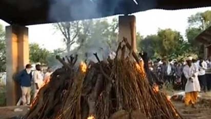 ಒಂದೇ ದಿನ 4,529 ಬಲಿ: ಭಾರತದಲ್ಲಿ ವಿಶ್ವದಾಖಲೆ!