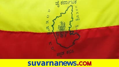 ಅಮೆರಿಕಾದ ಶಾಲೆಯಲ್ಲಿ ಕನ್ನಡದ ಕಲರವ: ವಿದೇಶಿ ಭಾಷೆಯಾಗಿ ಕನ್ನಡ ಕಲಿಕೆ!