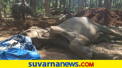 ಶಿವಮೊಗ್ಗದ ಸಕ್ರೆಬೈಲು ಕ್ಯಾಂಪ್ನ ಗೀತಾ ನಿಧನ