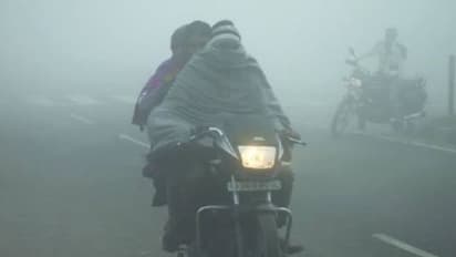 सर्दियों में आपकी गाड़ी नहीं होती Start तो करके देखें ये उपाय, ऑफिस पहुंचने में नहीं होंगे लेट