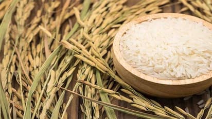 महंगा ब्राउन राइस नहीं, सस्ते सफेद चावल खाकर ही कम हो जाएगा वजन, ऐसे खाएंगे तो मिलेगा डबल फायदा