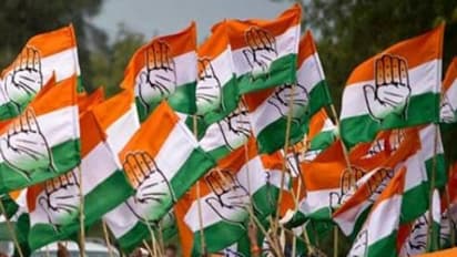 കോൺഗ്രസ് പാർട്ടി സീറ്റിൽ 'മകൾ' തോറ്റു, വിമതയായി 'അമ്മ' ജയിച്ചു