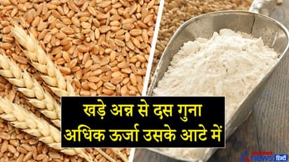 चाणक्य नीति: अन्न, दूध, मांस और घी, इनमें से कौन-सा भोजन हमें अधिक ऊर्जा प्रदान करता है?