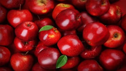 हर चमकता APPLE ताजा नहीं होता, सेब खरीदते समय ये बातें रखें ध्यान नहीं तो हो जाएंगे बीमार, क्या कहती है रिसर्च
