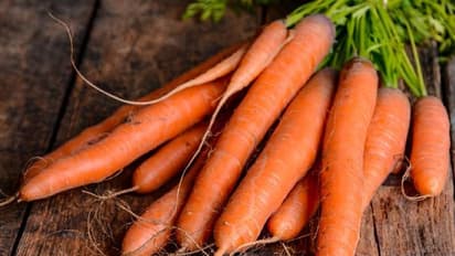 ഇവ കഴിക്കൂ, വണ്ണം കുറയ്ക്കാനും ദഹന പ്രശ്നങ്ങൾ അകറ്റാനും സഹായിക്കും