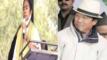 TMC can only find permanent solution to the hills, not the BJP: Mamata Banerjee