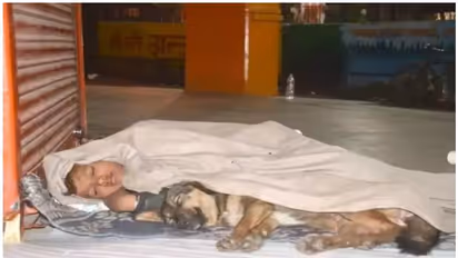 പിതാവ് ജയിലില്, അമ്മ ഉപേക്ഷിച്ചു, തെരുവില് നായയുടെ കൂടെ ഒരു പുതപ്പില് ചുരുണ്ട് കൂടി ബാലന്