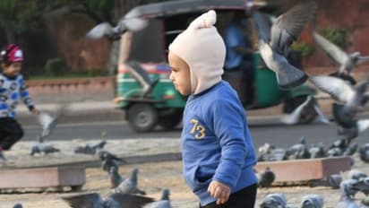 নতুন বছরে কনকনে ঠান্ডায় ভোর হল কলকাতায়, শুক্রবার রাজ্য জুড়ে শৈত্যপ্রবাহ